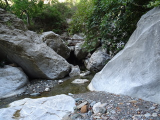 stoleone-09-08-2020 09
